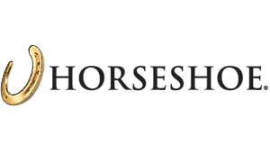 mini golf rental new york image