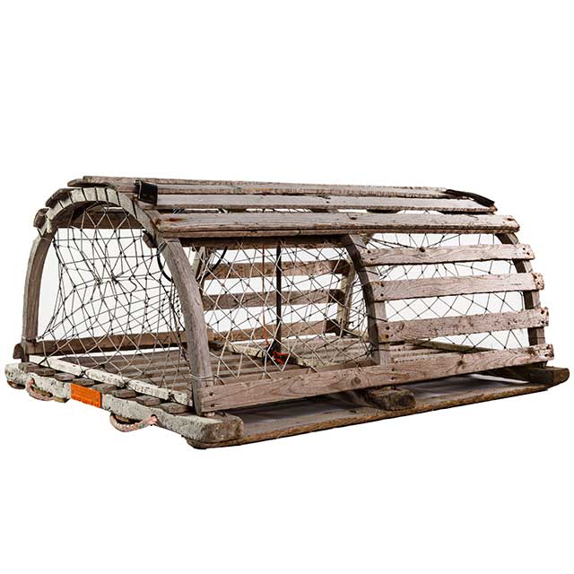 Mini Golf Obstacle Rentals NJ image